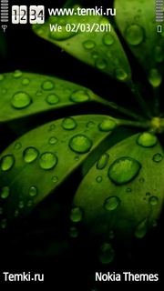 Роса на листьях для Sony Ericsson Idou