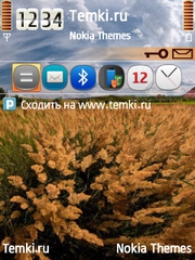 Поле для Nokia N76