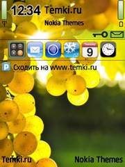 Виноград для Nokia X5-00