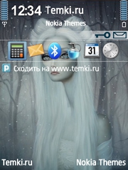 Дух зимы для Nokia N79