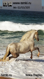Прекрасный конь для Sony Ericsson Kanna