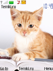 Кошка с книжкой для Nokia 6233