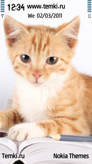 Кошка с книжкой для Sony Ericsson Idou
