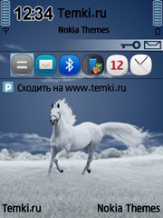 Белая грива для Nokia E73 Mode