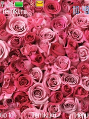 Очень Много Розовых Роз для Nokia 6750 Mural