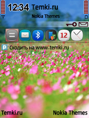 Поле для Nokia E73 Mode