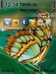 Желтая бабочка для Nokia N95