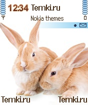 Красивые Зайчики для Nokia 6600