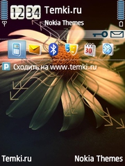 Время цветов для Nokia X5-00