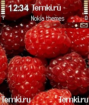 Малина для Nokia N72