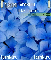 Цветы для Nokia 6682