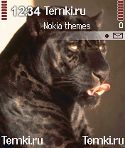 Пантерка для Nokia N72