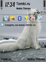 Зверечек для Nokia 6760 Slide