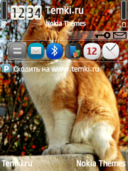 Рыжий кот для Nokia 6760 Slide