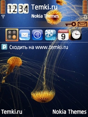 Медузы для Nokia X5-01