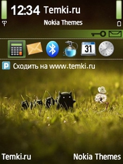 Странные для Nokia N76