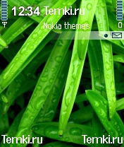Мокрые листья для Nokia N70