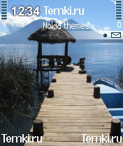 Пирс для Nokia N70