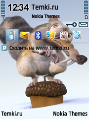 Крысобелка для Nokia 5700 XpressMusic