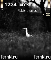 Птица для Nokia 3230