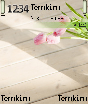 Розовые тюльпаны для Nokia 6681