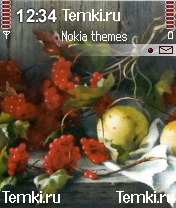 Натюрморт для Nokia N72