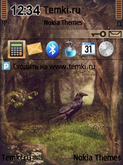 Ворон для Nokia E73 Mode