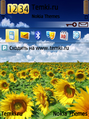Цветочное поле для Nokia E73 Mode