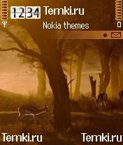 Южная Африка для Nokia N72