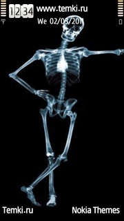 Скелет для Sony Ericsson Satio