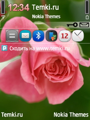 Роза для Nokia E73 Mode
