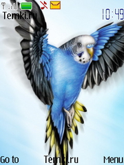 Попугай для Nokia 6750 Mural