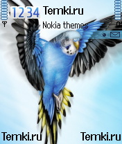 Попугай для Nokia 7610