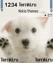 Собачка для Nokia N72