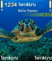 Морская черепашка для Nokia 6638
