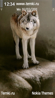 Волк для Nokia X6 8GB