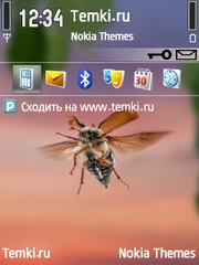 Жужелица для Nokia N95 8GB