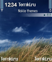 Поле для Nokia N90