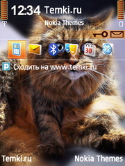 Синеглазый кот для Nokia E73 Mode