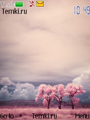Пейзаж в розовых тонах для Nokia 207