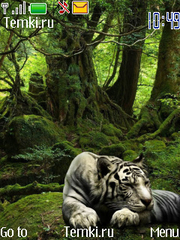 Тигр для Nokia 208