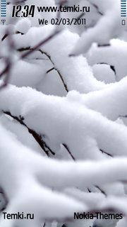 Ветви в снегу для Nokia 5800