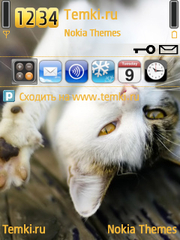 Потягушечки для Nokia N93