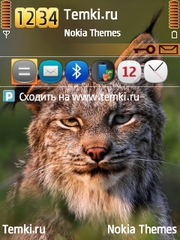 Рысь для Nokia N73