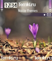 Цветы для Nokia 6630