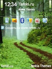 Лесной дождик для Nokia E73 Mode