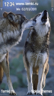 Двое  волков для Sony Ericsson Satio