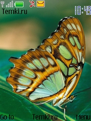 Желтая бабочка для Nokia 6750 Mural