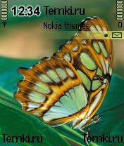 Желтая бабочка для Nokia 6620