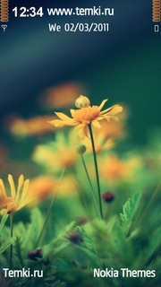 Цветы для Nokia N97